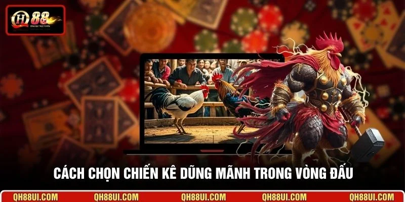 Cách chọn chiến kê dũng mãnh trong vòng đấu