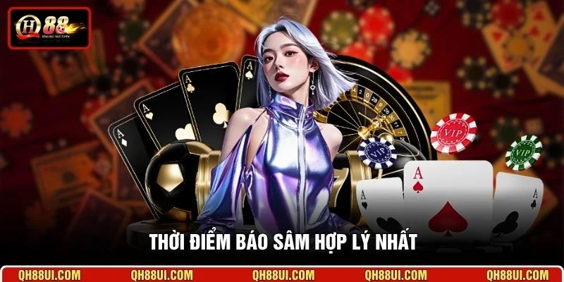 Thời điểm báo Sâm hợp lý nhất