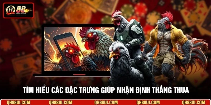 Tìm hiểu các đặc trưng giúp nhận định thắng thua 